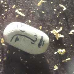 Trooping Disfunctions