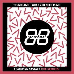 Tough Love - What you Need Is Me Feat Nastaly (Hardsoul & Dennis Quin Remix)