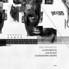 Andres Campo - Grey (Joe Blake Remix) [FLORIDA MUSIC]