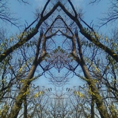 Intertwined