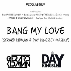 David Guetta vs. Dannic & Sick Individuals - Bang My Love (Gerard Kidman & Day Kingsley Mashup)