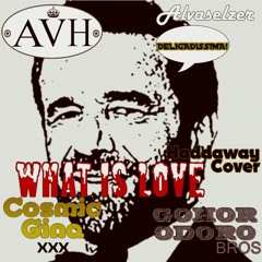 What Is Love (Haddaway Cover)