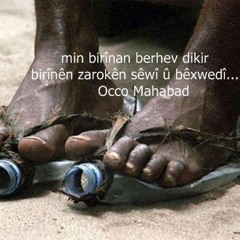 Dengbej Kazo=Delal Haylo Delal