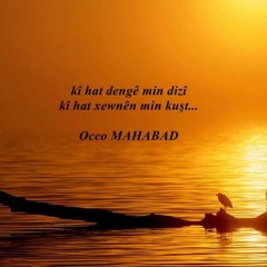 BRADER-LO DILO