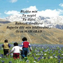 Bawer Can-Emo Muş e