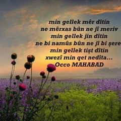 Ayşe Şan - Bavê Seyro