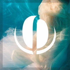 100% - Blondtron & Waspy - The 12 Days of Bass Coast