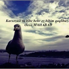 Şakiro - Dîlber