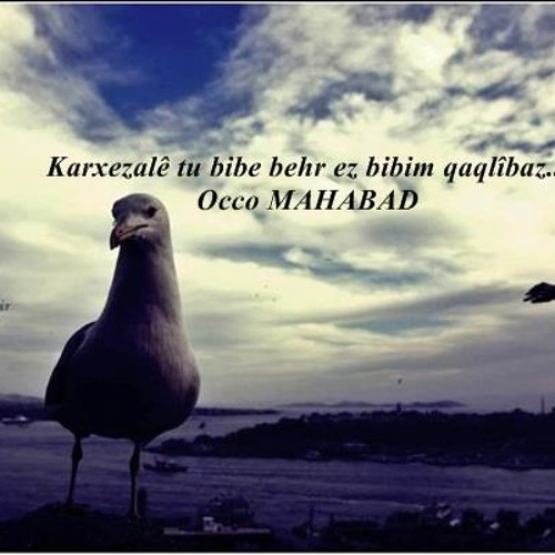 Şakiro - Dîlber