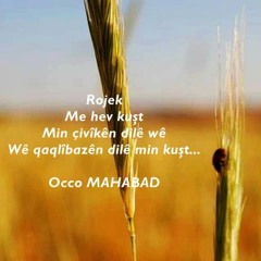 Seyidxanê Amedî (Boyaxçî) - Têlî