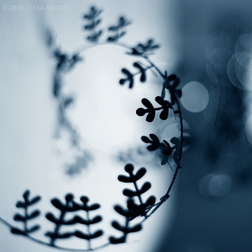 episode 33 - Chris Gavin - Ephémères Sessions - Dec 2015 - Frisky Radio Guest Mix