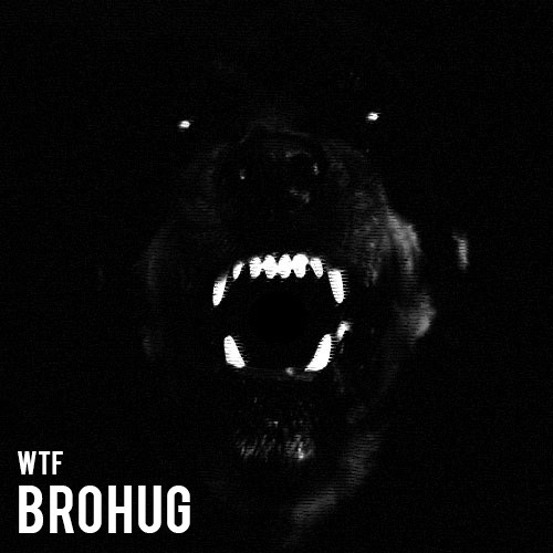 Brohug - Wtf (Original Mix).mp3