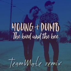 Young And Dumb (The Bird and the Bee) - TeamMate Remix