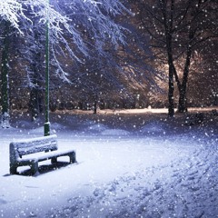 Cold Nights