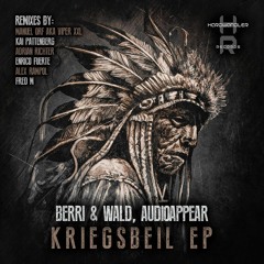 Berri & Wald, Audioappear - Skalp (Adrian Richter Remix)[Hardwandler Records]