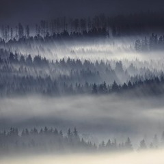 i'm so sorry, but it seems like u have soul cancer