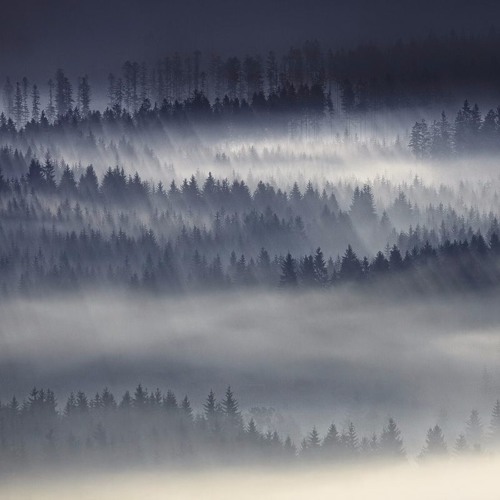 i'm so sorry, but it seems like u have soul cancer