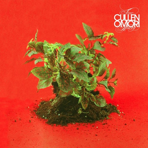 Cullen Omori - Cinnamon