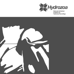 2.Rehmark & Nukkah - Kerhub -Hydrozoa Recordings