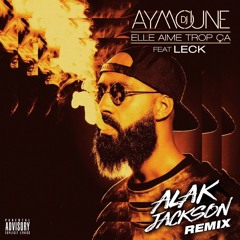 Dj Aymoune Elle Aime Trop Ca (Alak Jackson Remix)