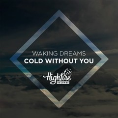 Waking Dreams - Cold Without You (Original Mix)
