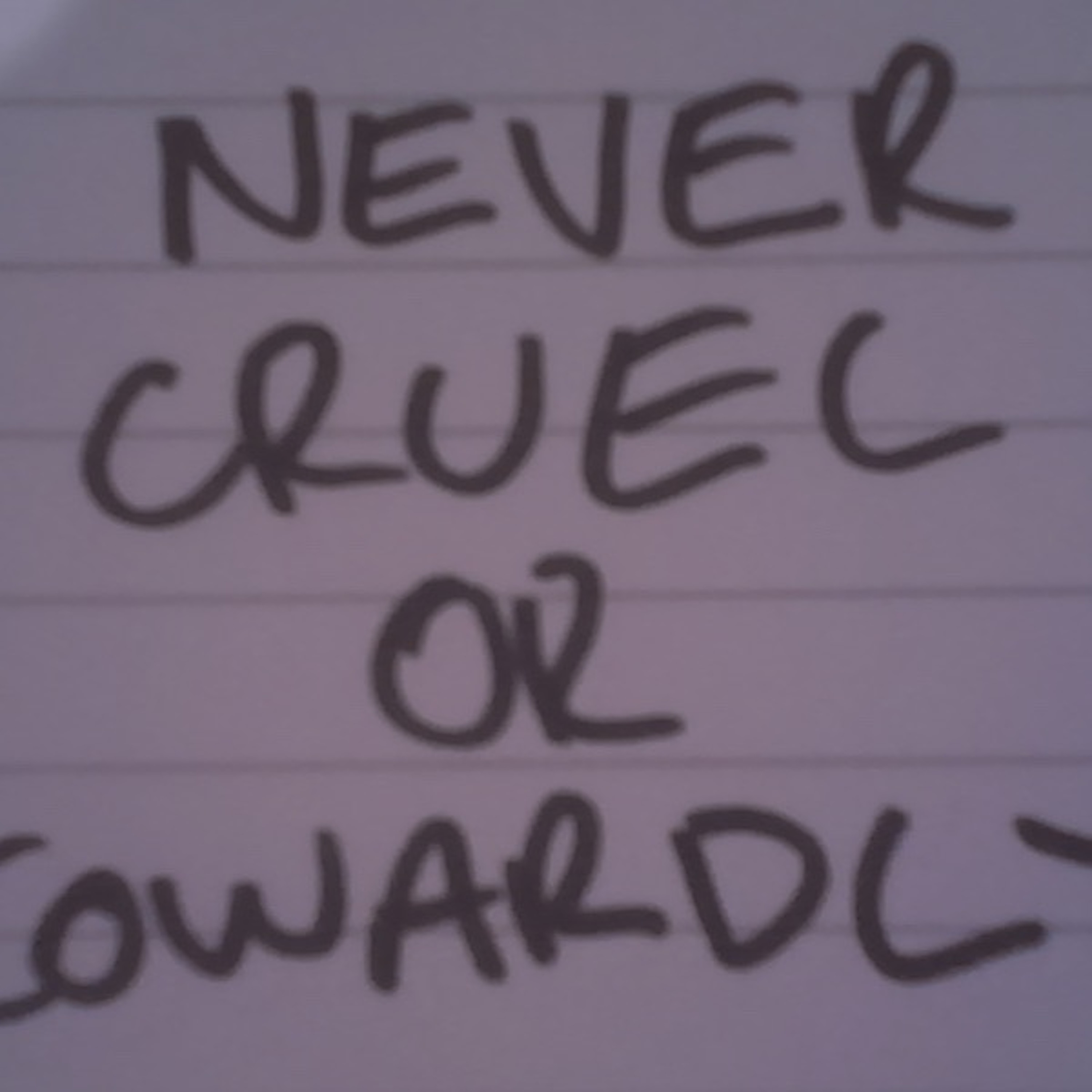 Never Cruel or Cowardly Pilot