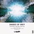 Shades of Grey (Ft. Delaney Jane) (Lampa Remix)