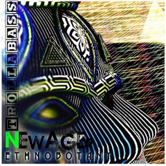 NEWAGEr - Shamanizm