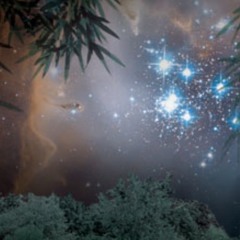 Christmas In Us - DEMO