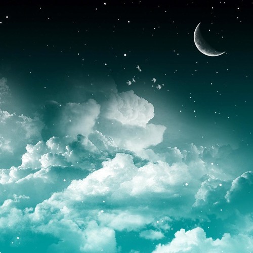 FabriZ - Fight For The Night