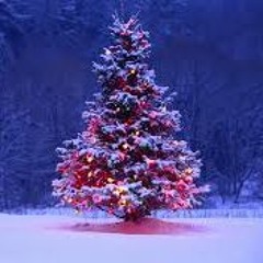 Let It Snow Short - Frank SInatra Christmas song by M.O.K.