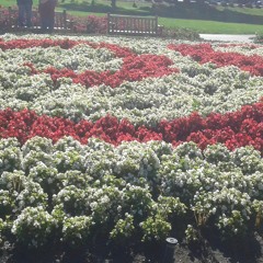 Plain White T's - Rhythm of Love (cover)