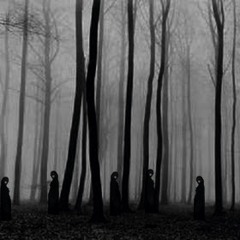 alone in a forest full of dark clouds (Digtial Hardware Ambient Edition)
