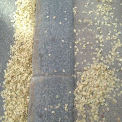 SO(U)LSKIN(NER): STONE