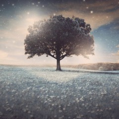 Serenity