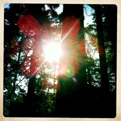 'til de sun come 'round again