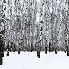 Winter is Near - remastered (music/piano - Nadia Cripps, lyrics/vocals/guitar - Michael Karns)