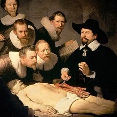 Anatomy Rap Young Money