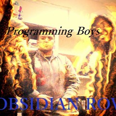 Programming Life (Programming Boys - ObsidianROV)