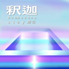 s t a y 滞在