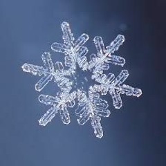 Blissful Waves - Snowflake (Christmas gift)