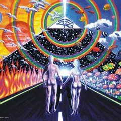 trance / tribe / psytrance