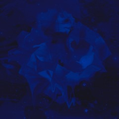 Eusebeia - Intrepid