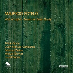 Mauricio Sotelo - Como Llora el Agua