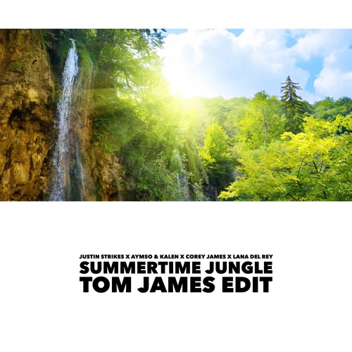 Summertime Jungle (Tom James Edit)