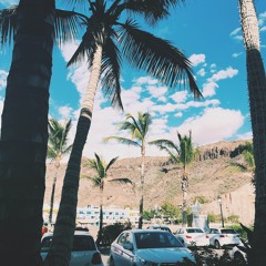 SummerbreezeNo. 2