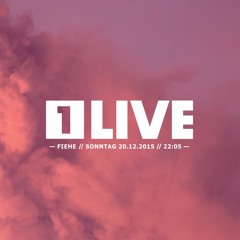 Bersarin Quartett -- Hinter uns die Wirklichkeit [Radio 1LIVE]