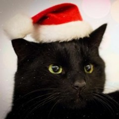 Fairytale of New York