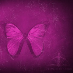 Dez Marinkov - 07. The Dance Of The Butterfly