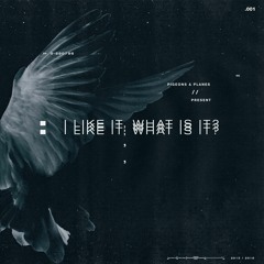P&P Presents: I Like It, What Is It?